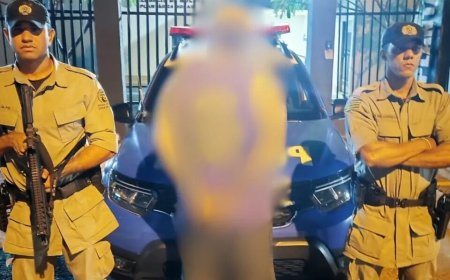 Após ameaçar ex-mulher, homem usa pitbulls para atacar policiais