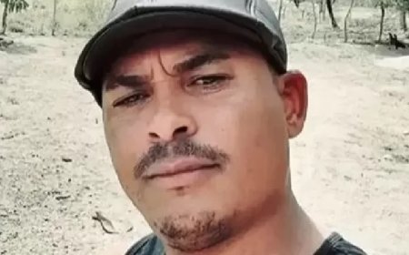 Homem morre após ser picado por abelha na Bahia