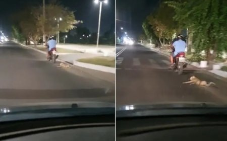 Homem é preso por amarrar e arrastar cachorro com a moto na rua