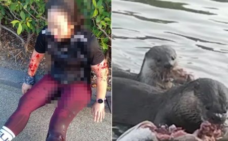 Mulher é atacada por lontras durante corrida em parque