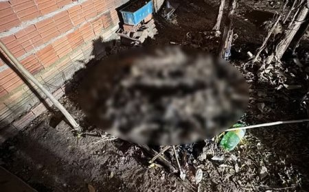 Mulher morre ao ser enterrada viva por namorado que convivia há 1 mês