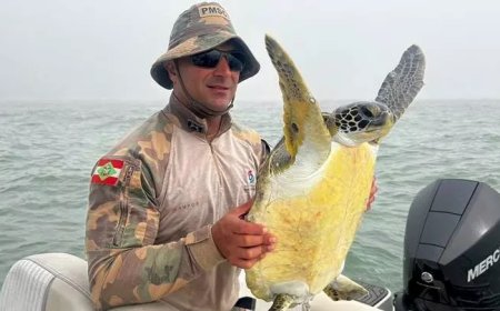 Tartaruga é resgatada após ficar presa em rede de pesca ilegal