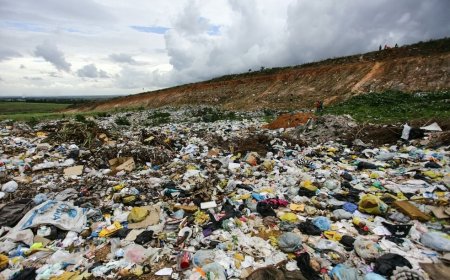 Corpo de homem é encontrado em lixão público