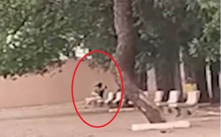 Casal é filmado em ato sexual em praça pública