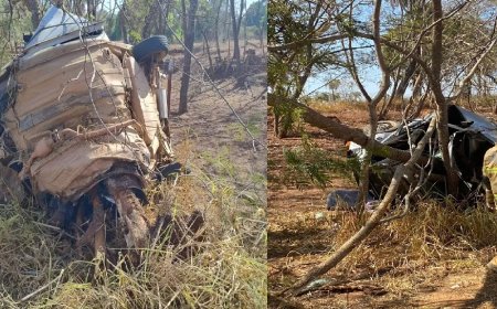 Carro bate em árvore e mata duas pessoas na MG-060