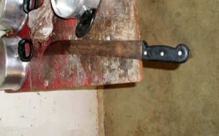 Idosa é esfaqueada por genro ao tentar proteger filha