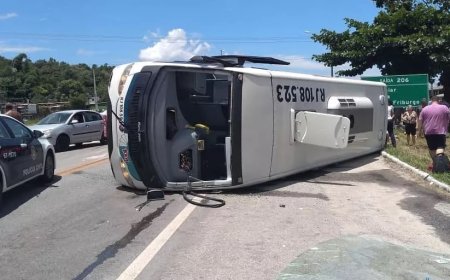 Acidente com micro-ônibus deixa feridos na BA-099