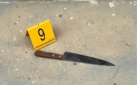 Homem em surto psicótico ameaça policiais e populares com faca e é baleado