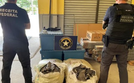 Receita Federal apreende 66 quilos de barbatanas de tubarão em operação