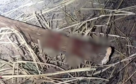 Mulher é brutalmente assassinada com facadas e pauladas, e tem corpo incendiado