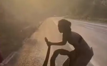 Jiboia morre após resgate de incêndio às margens da BR-222