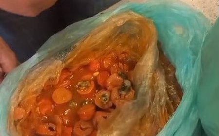 Agentes apreendem drogas escondidas em salsichas em penitenciária do Rio