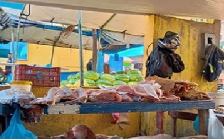 Ibama apreende peixe-boi-da-amazônia e 422 kg de pirarucu