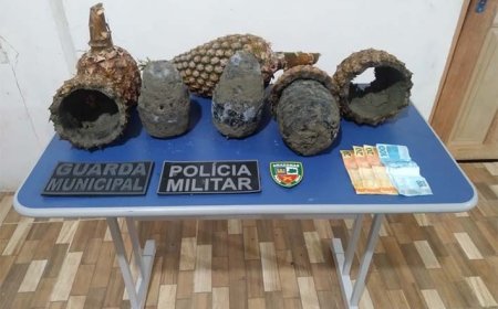 Polícia apreende 5kg de pasta-base de cocaína dentro de abacaxis