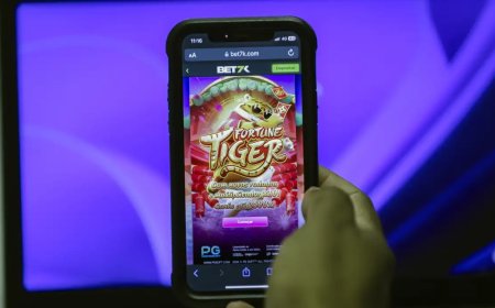 Polícia mineira investiga casal de influenciadores por jogos de azar