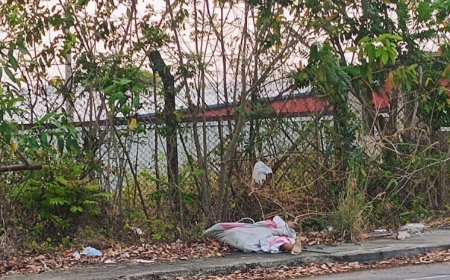 Corpo de homem é encontrado enrolado em lençol