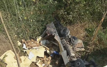 Motorista de caminhão morre em acidente, e carga de frigorífico é roubada