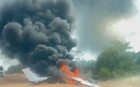 Avião monomotor cai e pega fogo próximo à BR-319