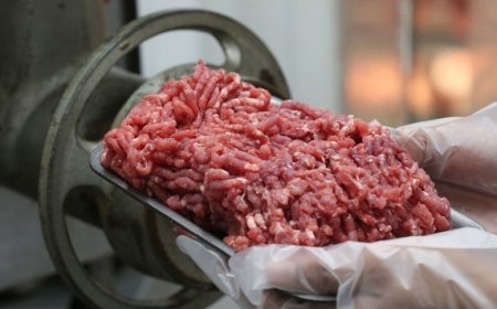 Veja quais são os alimentos mais perigosos quando vencidos