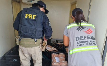 PRF apreende 450kg de carne de frango imprópria para consumo humano.