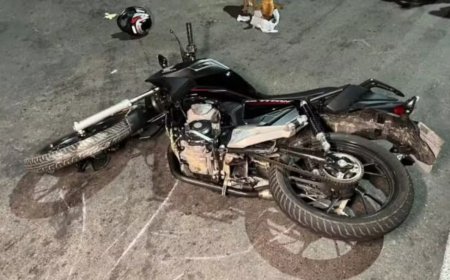 Cachorro morre atropelado por motociclista durante perseguição policial