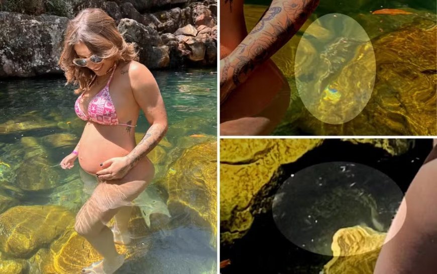 Empresária viraliza ao 'descobrir' serpentes em fotos de cachoeira