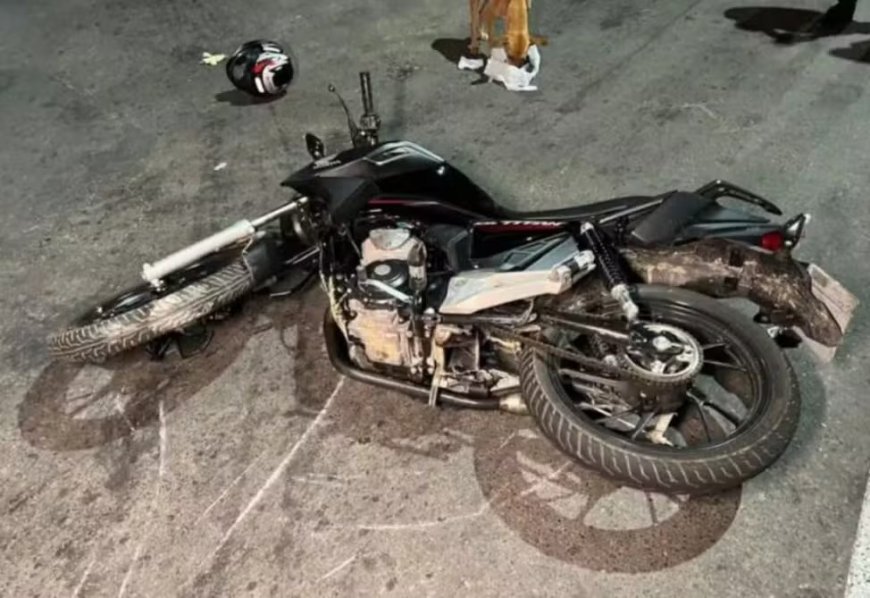 Cachorro morre atropelado por motociclista durante perseguição policial