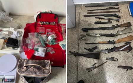 PCGO prende 7 pessoas por tráfico, rinha de galos, posse de arma de fogo e joias e pedras preciosas