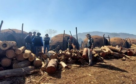 593 trabalhadores são resgatados em condições análogas à escravidão na maior operação da história do Brasil