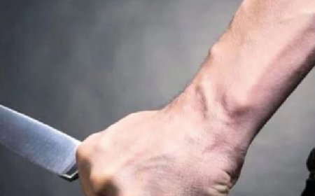 Polícia Civil prende acusado de matar homem a facadas e o animal de estimação da vítima