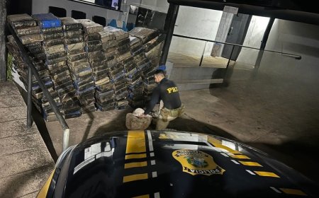PRF apreende mais de 1,5 toneladas de Maconha em caminhão na BR 262