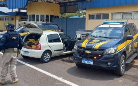 PRF e PCDF apreendem mais de 400 kg de maconha na BR-060
