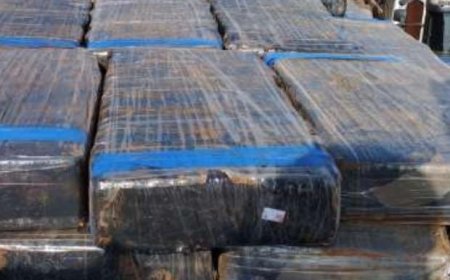 Cão farejador ajuda PM a localizar 2 toneladas de maconha escondidas em carga de recicláveis