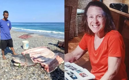 Pescador encontra corpo de turista dentro de tubarão após fisgar animal