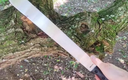 Homem é preso em flagrante pela PM após esfaquear o próprio filho