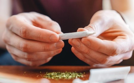 Homem é preso após furtar cachorro e escondê-lo em mochila para trocar por drogas