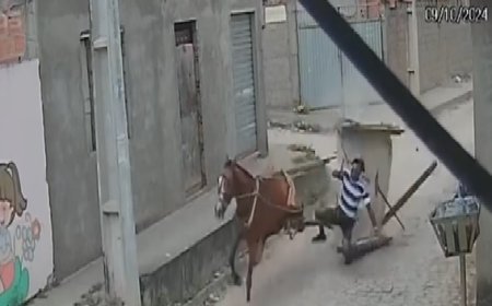 Idoso perde controle de carroça após pneu bater em meio-fio e assustar cavalo