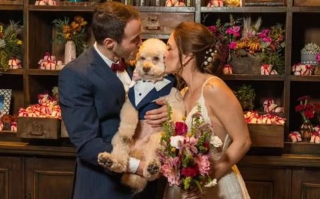 Cachorro morre eletrocutado com fio rompido durante temporal