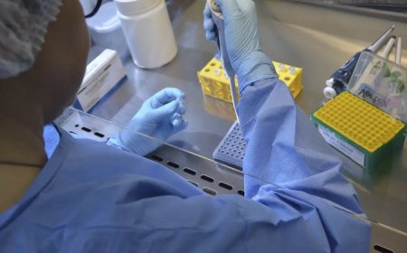 Nova variante do vírus Sars-CoV-2 é identificada em três estados