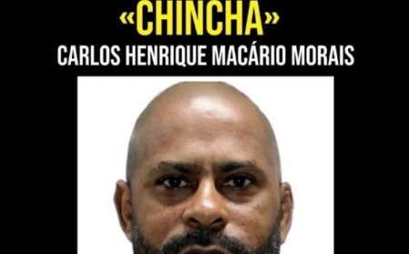 Polícia procura homem que agrediu protetor de gatos com cassetete