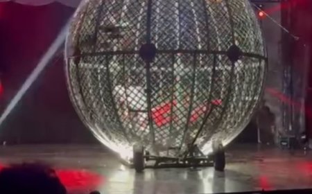 Artistas sofrem acidente em “globo da morte” de circo