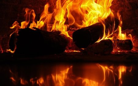 Homem confessa que matou colega a pauladas e jogou corpo no fogo