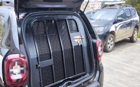 PC investiga mulher por maus-tratos ao filho de 5 meses; mandado de prisão por furto em aberto foi cumprido