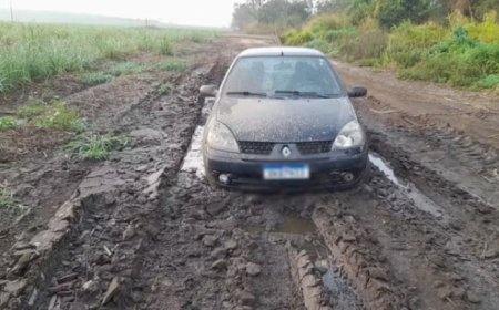 Homem é preso em flagrante após assassinar esposa durante discussão sobre suposta traição