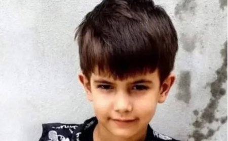 Criança de 6 anos morre após ser atacada por abelhas