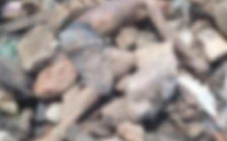 Corpo é encontrado com diversas perfurações sendo devorado por urubus no lixão