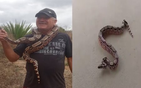 Cobra aparece em posto de saúde e assusta funcionários