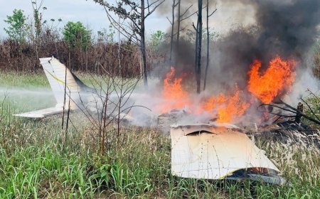 PF apreende aeronave clandestina com cocaína; veja as fotos