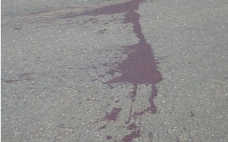 Motociclista morre após bater de frente com caminhonete