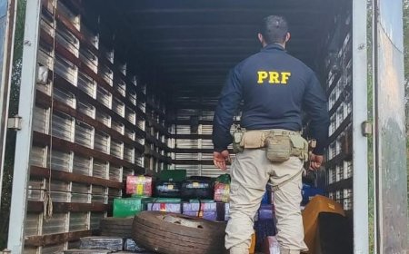 PRF apreende 6,2 toneladas de maconha e recupera caminhão na BR-163